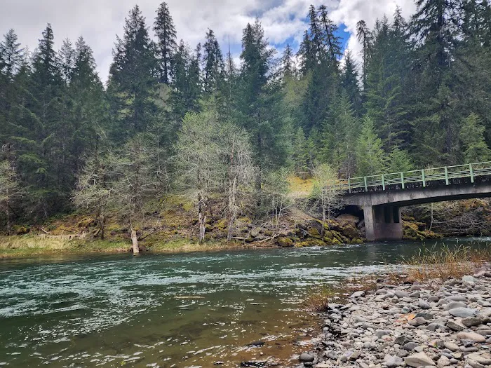 Little Fan Creek Campground Picture 8