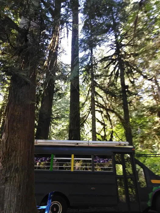 Kingfisher Campground Picture 6