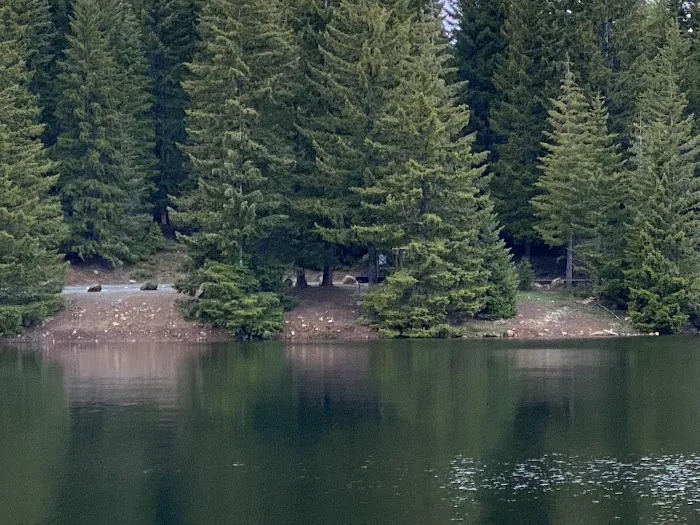 Pine Point Group Campground Picture 9