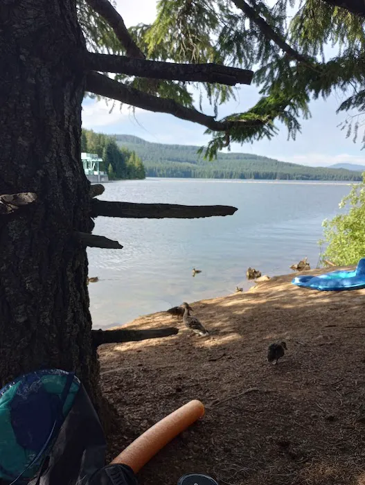 Pine Point Group Campground Picture 6