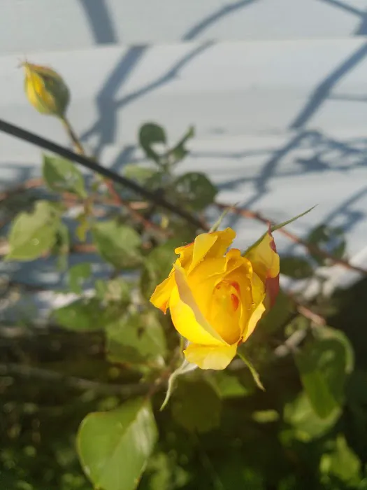 Valley View Mobile Home Park Picture 6