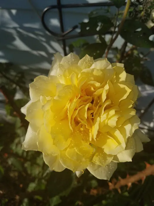 Valley View Mobile Home Park Picture 8