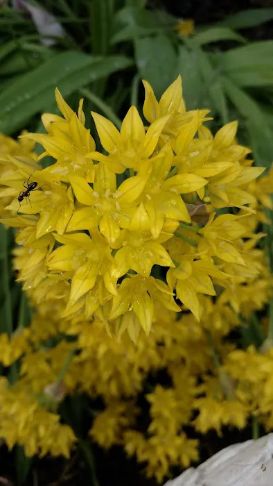 Valley View Mobile Home Park Picture 3