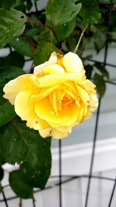 Valley View Mobile Home Park Picture 1