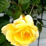 Valley View Mobile Home Park