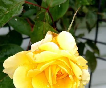 Valley View Mobile Home Park