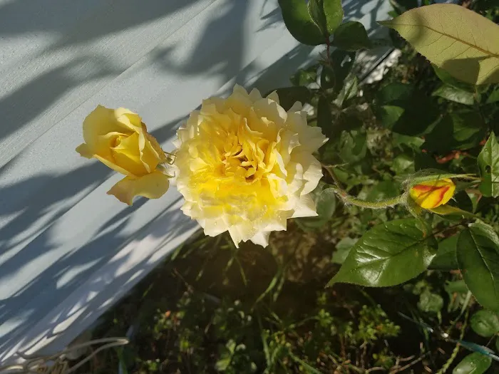 Valley View Mobile Home Park Picture 5