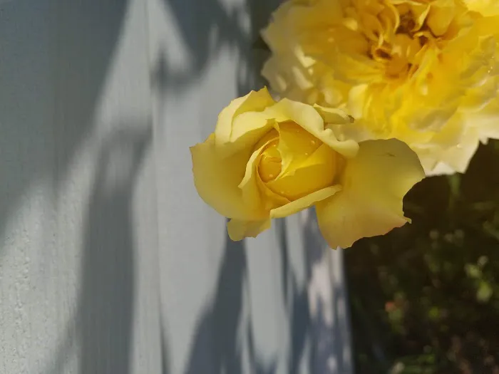 Valley View Mobile Home Park Picture 2