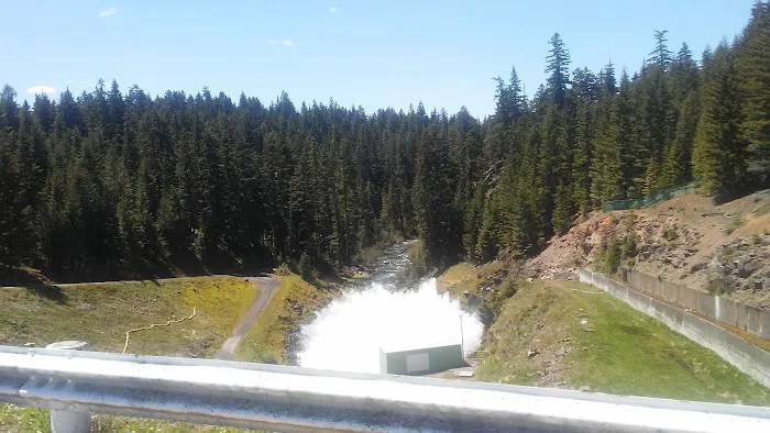 Pine Point (Timothy Lake) Day Use/Picnic Area (recgovnpsdata) Picture 5