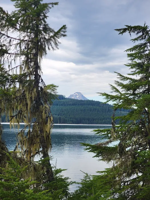 Pine Point (Timothy Lake) Day Use/Picnic Area (recgovnpsdata) Picture 9