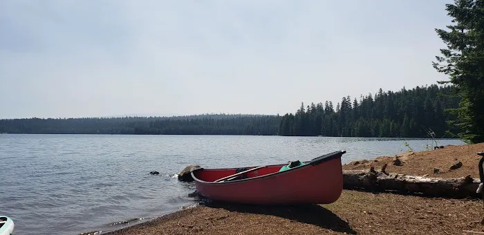 Pine Point (Timothy Lake) Day Use/Picnic Area (recgovnpsdata) Picture 2