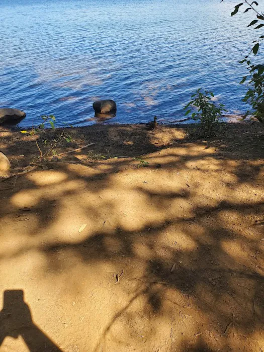 Pine Point (Timothy Lake) Day Use/Picnic Area (recgovnpsdata) Picture 1