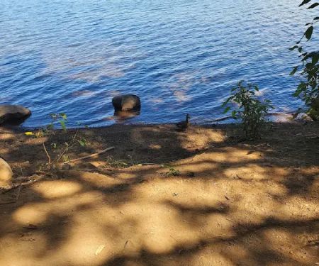 Pine Point (Timothy Lake) Day Use/Picnic Area (recgovnpsdata)