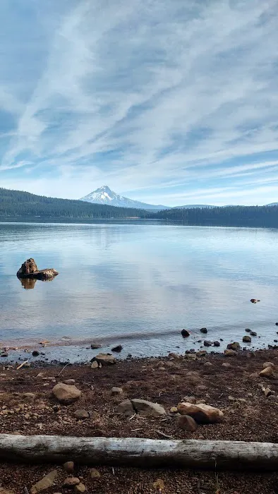 Pine Point (Timothy Lake) Day Use/Picnic Area (recgovnpsdata) Picture 3