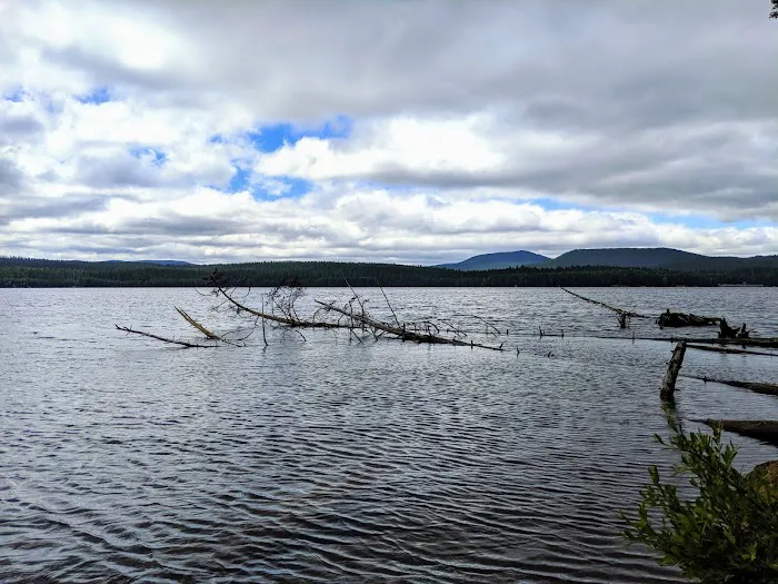 Meditation Point (Timothy Lake) Campground Picture 7