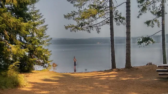 The Cove (Timothy Lake) Day-Use Picture 1