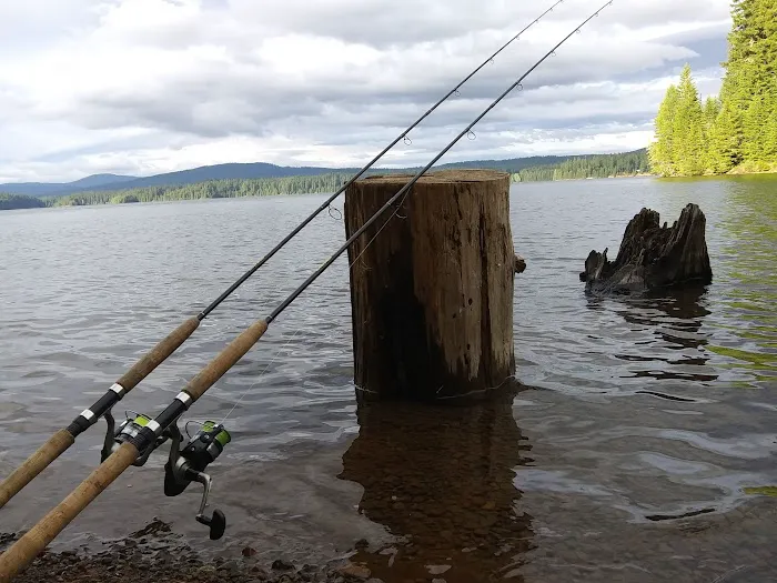 The Cove (Timothy Lake) Day-Use Picture 10