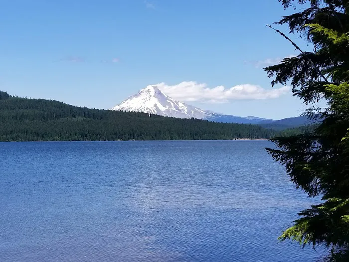 The Cove (Timothy Lake) Day-Use Picture 2