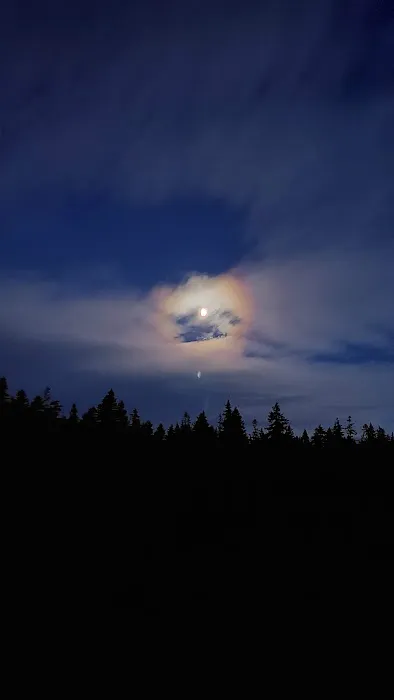 The Cove (Timothy Lake) Day-Use Picture 3