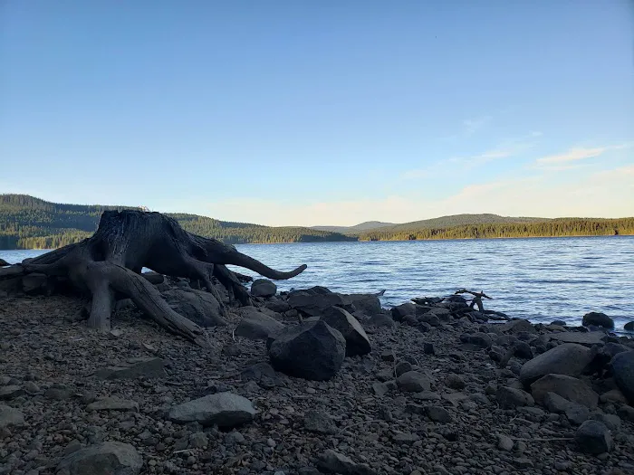 The Cove (Timothy Lake) Day-Use Picture 9