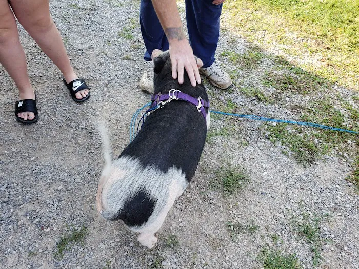 Hickory Ridge RV Resort Picture 6