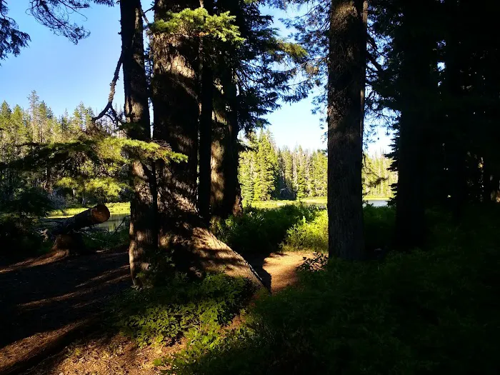 Summit Lake Campground Picture 1