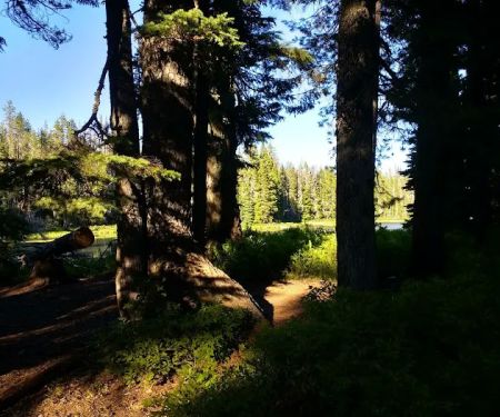 Summit Lake Campground