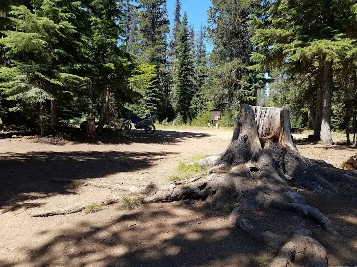 Summit Lake Campground Picture 5