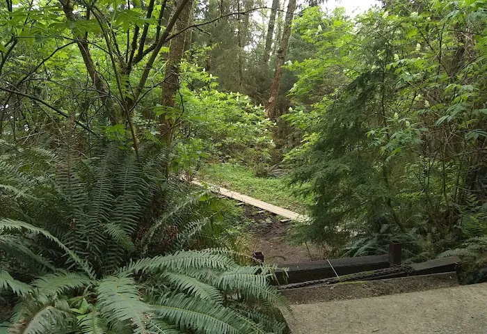 Hiker's Camp Picture 7
