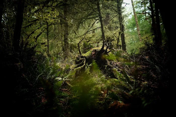 Hiker's Camp Picture 5