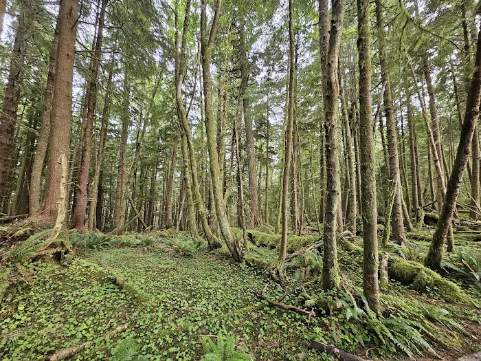 Hiker's Camp Picture 8