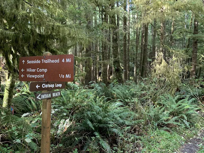 Hiker's Camp Picture 2