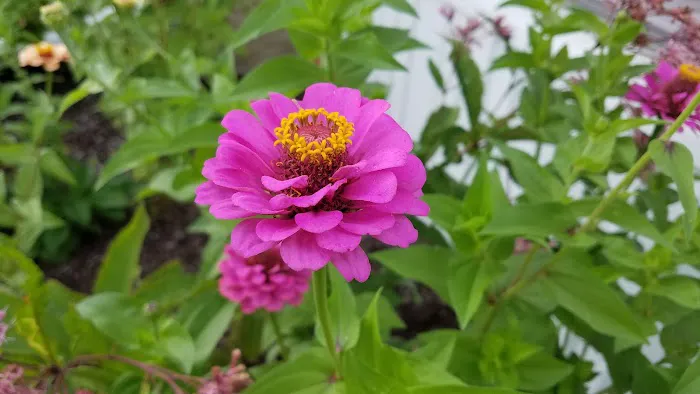 Varsity Park Picture 1