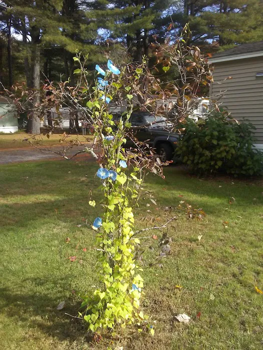 Worumbo Estates Picture 1