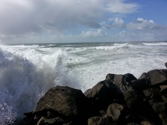 Fort Stevens State Park Campground Picture 7