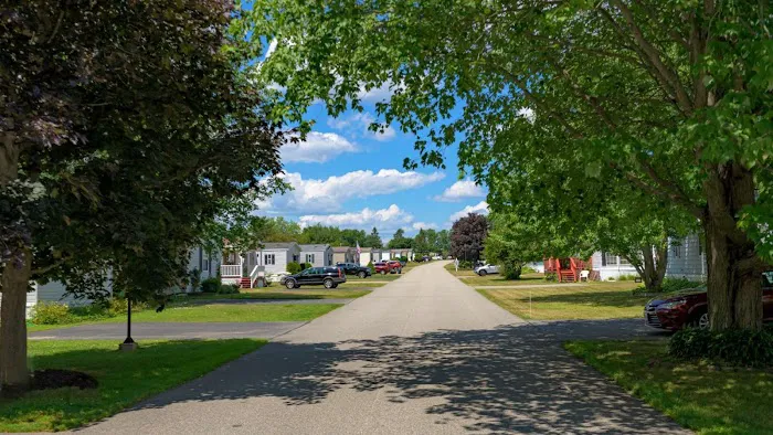 Town & Country Village Picture 9