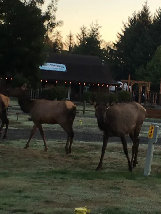 Astoria / Warrenton / Seaside KOA Resort Picture 8