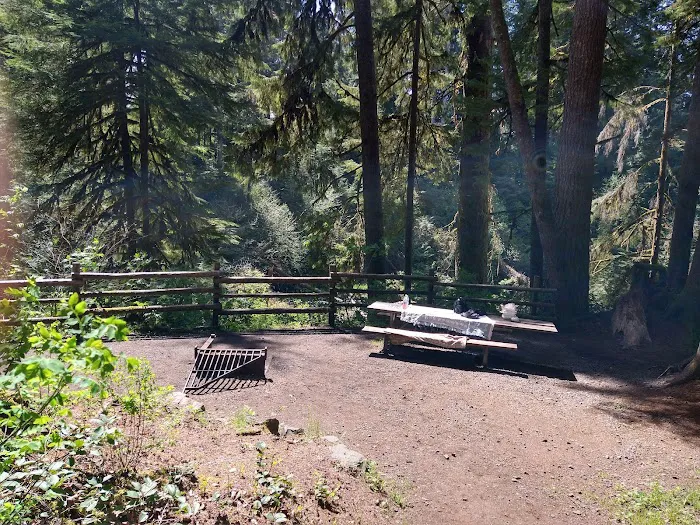 Gnat Creek Campground Picture 4