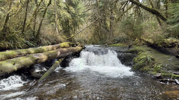 Gnat Creek Campground Picture 6