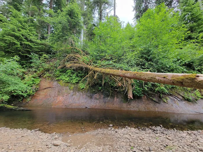 Gnat Creek Campground Picture 5