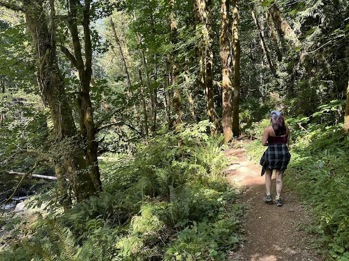 Gnat Creek Campground Picture 7