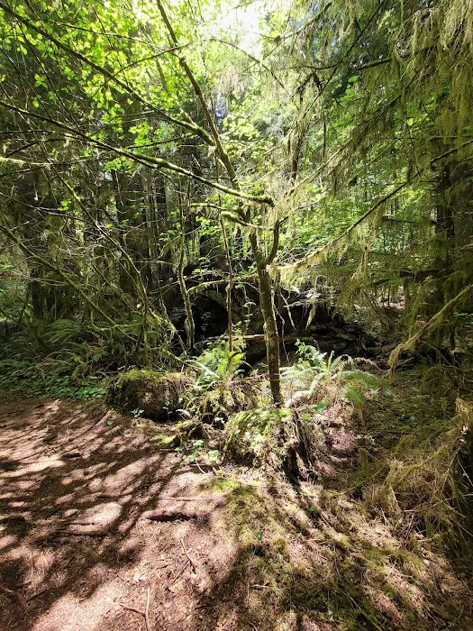 Gnat Creek Campground Picture 3