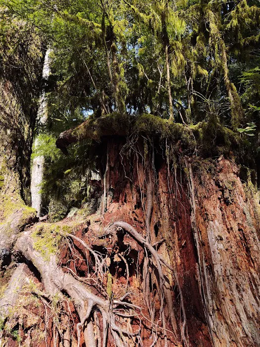 Gnat Creek Campground Picture 9