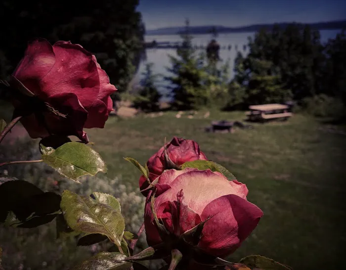 Rose Creek Retreat Picture 4