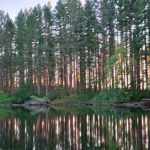 South Lake Dispersed Area