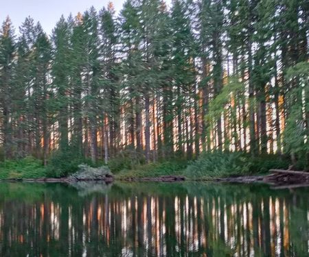 South Lake Dispersed Area