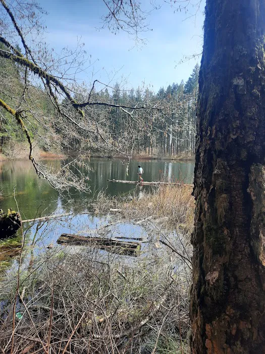 South Lake Dispersed Area Picture 3