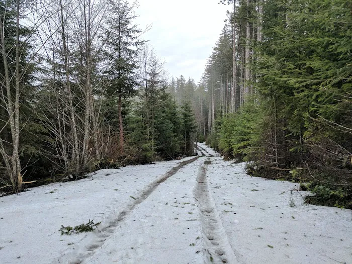 South Lake Dispersed Area Picture 6