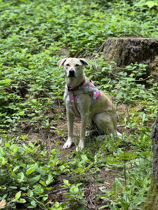 Big Buck Campground Picture 4