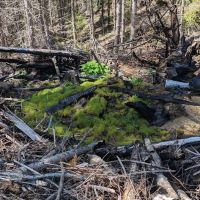 Big Buck Campground ico